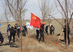 播下生態(tài)文明的種子，高鐵開發(fā)集團攜手共建企業(yè)積極開展春季義務(wù)植樹活動
