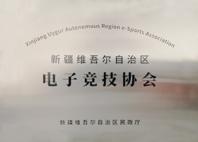 新疆維吾爾自治區(qū)電子競技協(xié)會