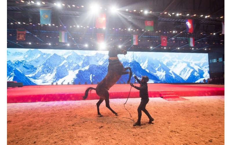 住馬酒店、吃馬肉腸、喝馬奶粉、品馬奶酒--