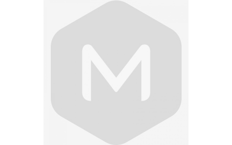 野馬公司俄語培訓(xùn)班正式開課